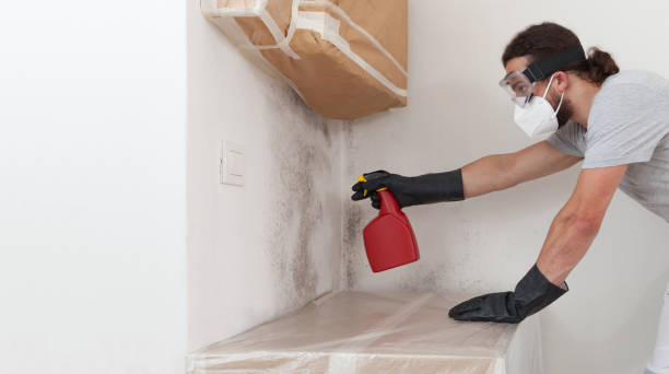 Professional Hvac And Air Duct Mold Remediation technician working in Livingston, NJ