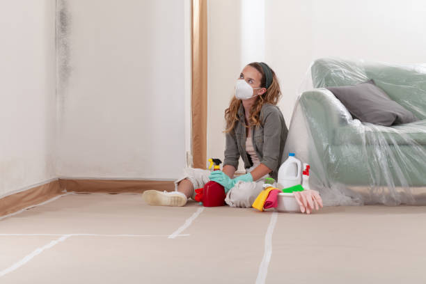 Reliable Hvac And Air Duct Mold Remediation contractor in Livingston, NJ by 24 Hour Mold Removal